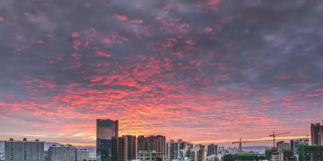 深圳龙岗区未来前景,深圳被高估