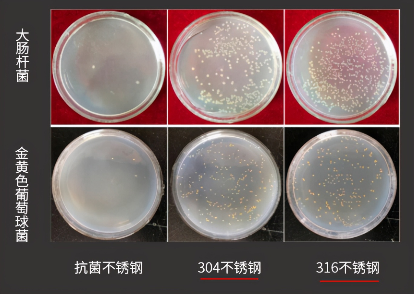 中科院抗菌不锈钢筷子是真的吗,中科院抗菌不锈钢符合食品级吗