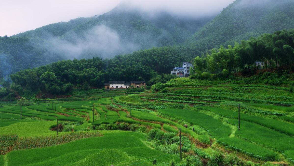 故乡的村庄女生版完整版,故乡的村庄歌曲