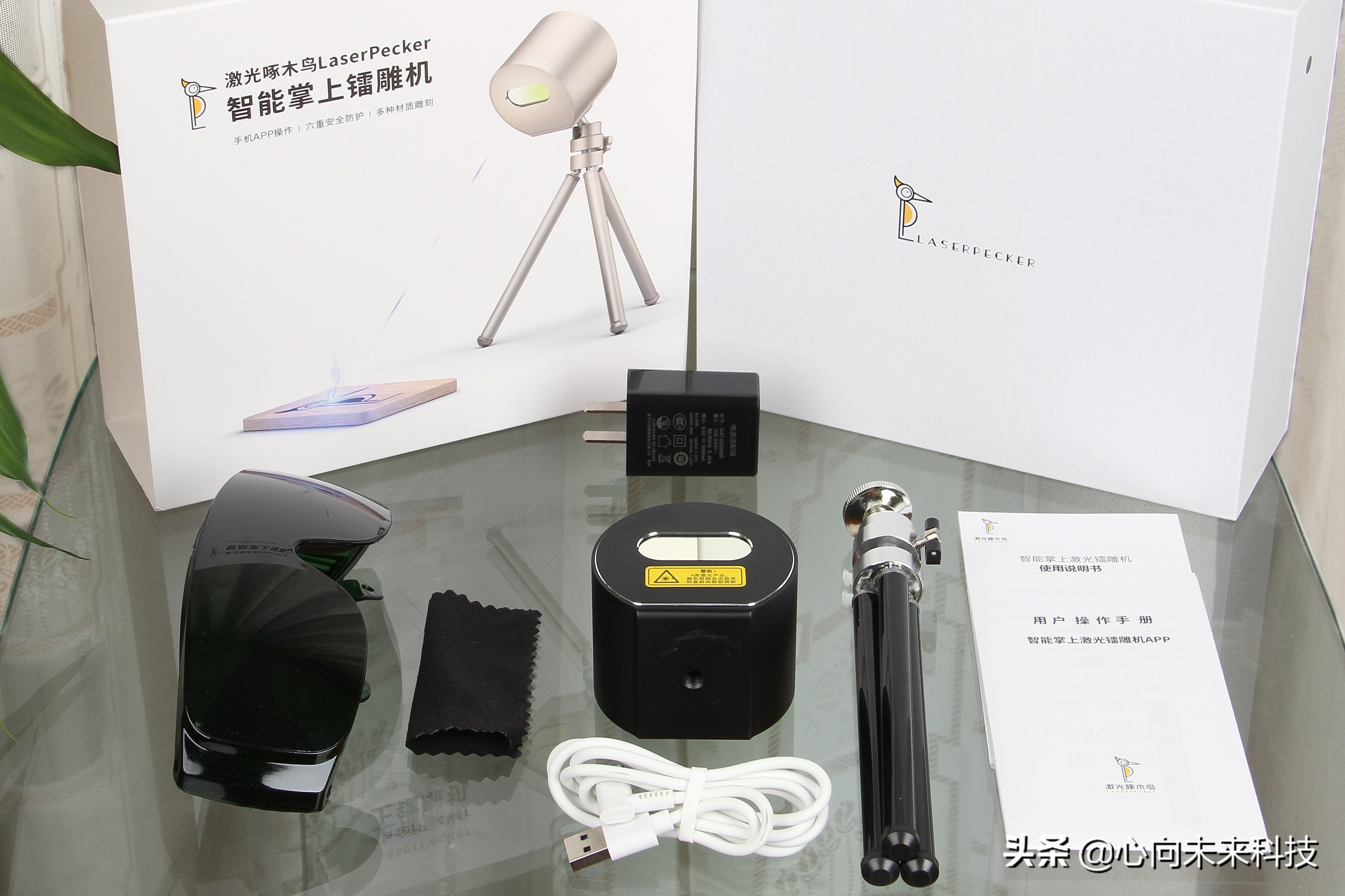 啄木鸟镭雕,啄木鸟激光雕刻机雕树叶