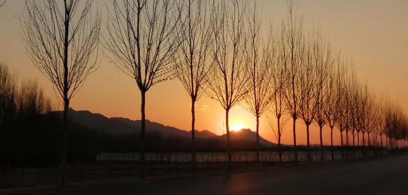 手拍世界摄影网,手拍世界微信公众号