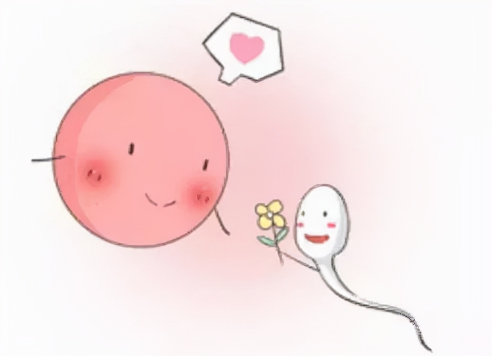 精子总数少于多少算少精子症,男性精子少