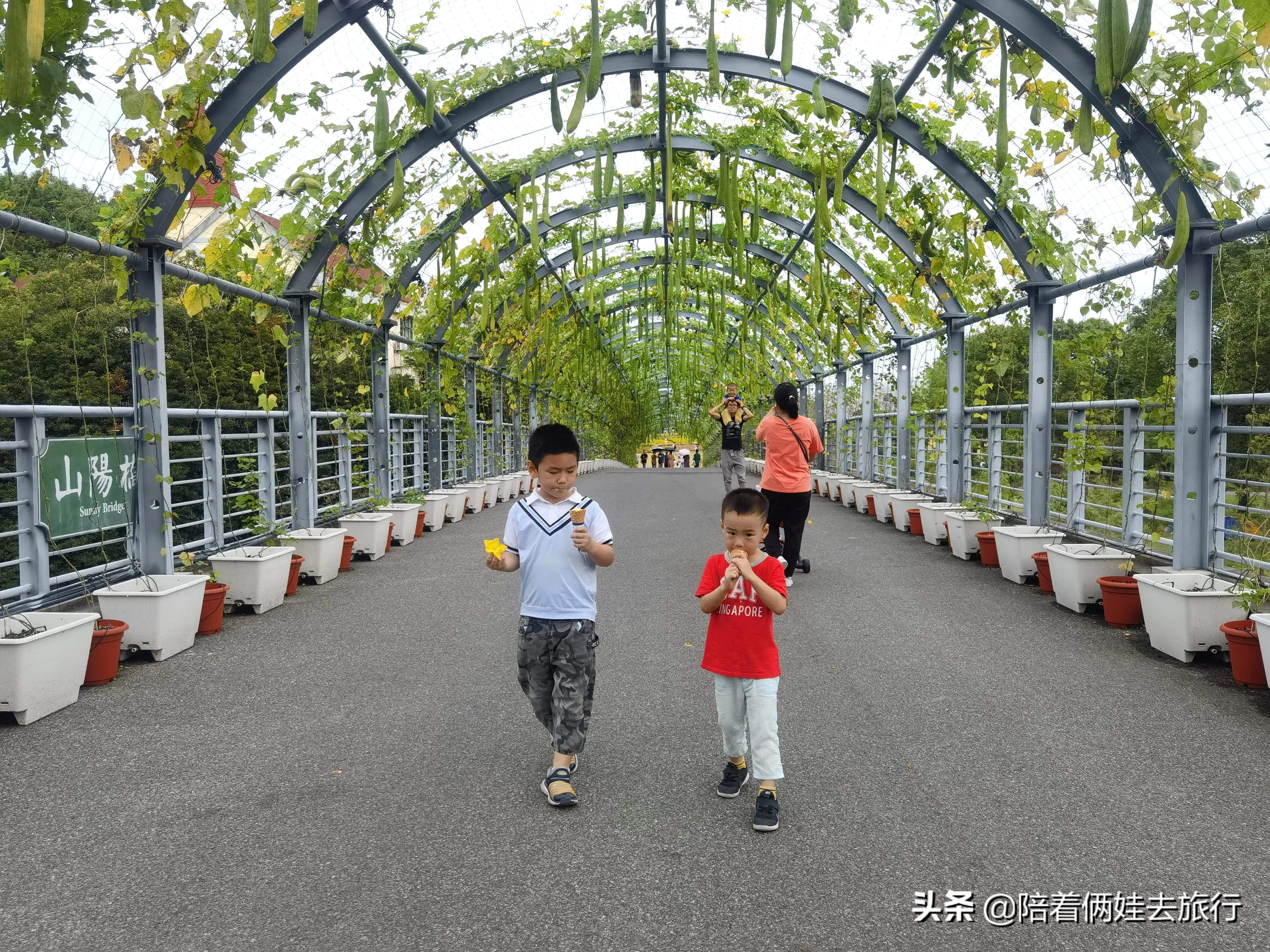 上海辰山植物园矿坑花园,辰山植物园矿坑花园修好了吗