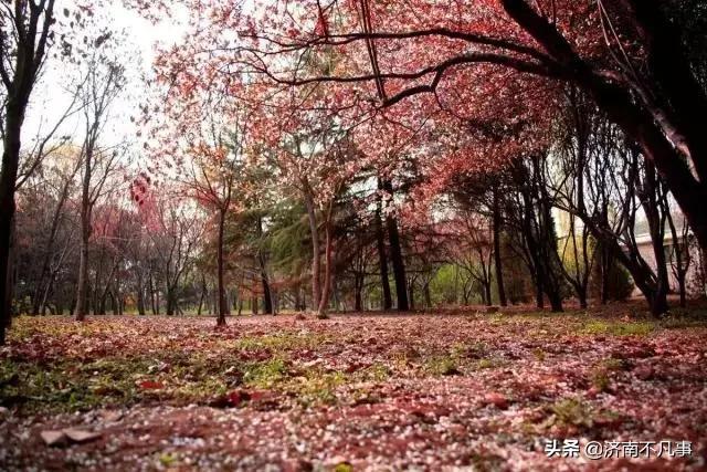 莱芜比较好的乡镇,莱芜乡镇有哪些