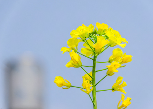 初唐四杰最著名的诗,初唐四杰及其代表诗作