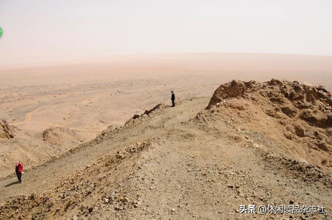 品酒笔记葡萄美酒仍无色,品酒笔记14款常见的优质口粮酒