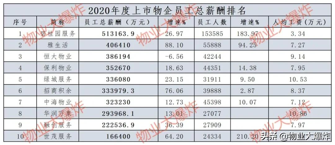 碧桂园项目总年薪,碧桂园的薪资标准