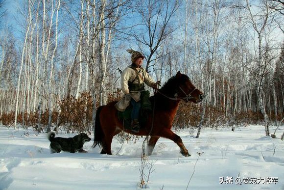 猛犬在身边也挡不住它们，爷爷口述我整理，我们村老猎人遇到的事