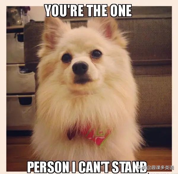 Icantstandit可不是“我站不住了”!理解错会很尴尬...