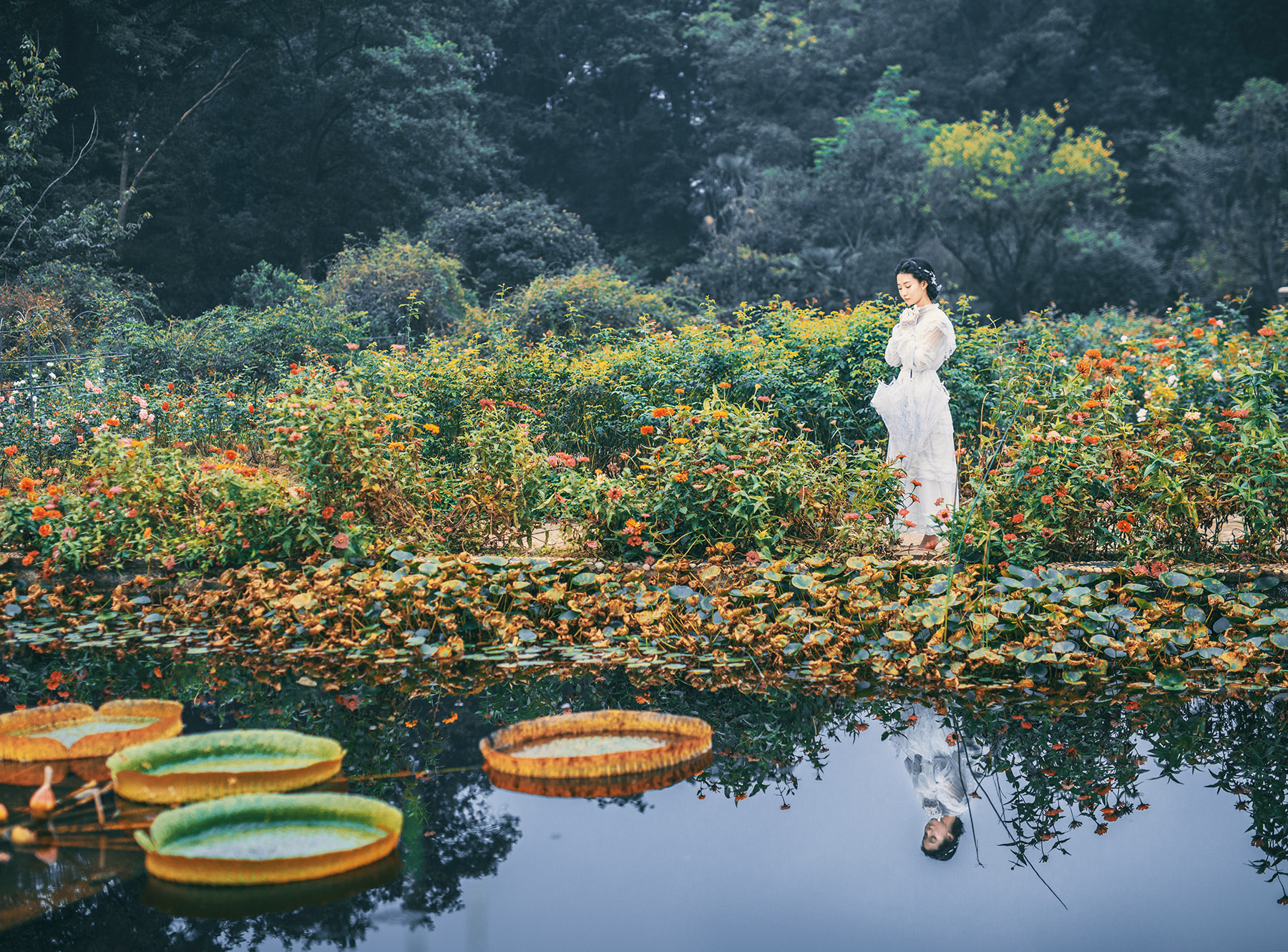 尼康2021年新相机,尼康2021年新相机及镜头展望