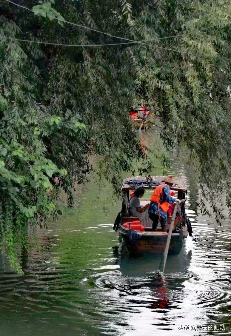 苏州除了拙政园还有哪个园林最好,苏州哪个园林最值得游玩