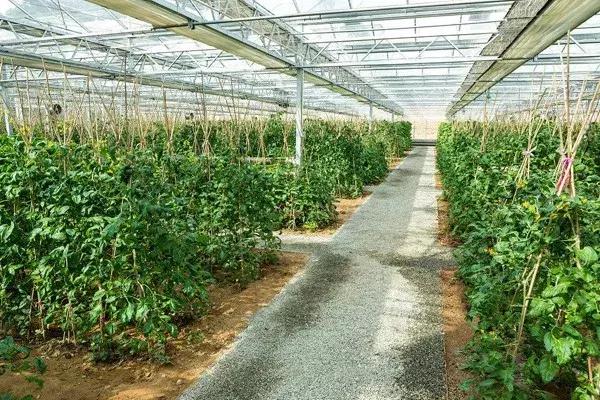 治理农业污染最有效的办法,国家对农村环保的政策