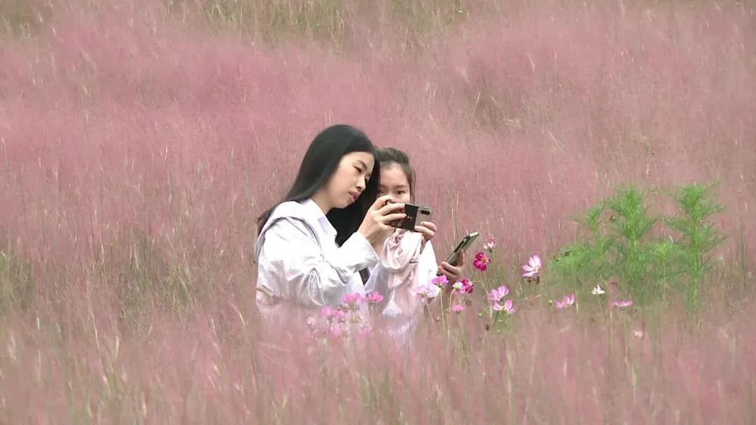 合肥田园自驾游,合肥乡村田园风光游路线