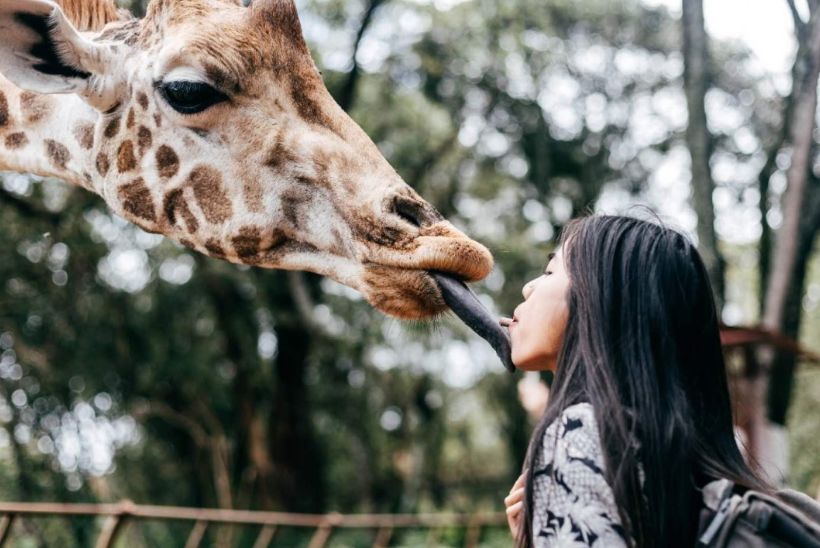 80个国家环游世界,环游世界走遍197个国家