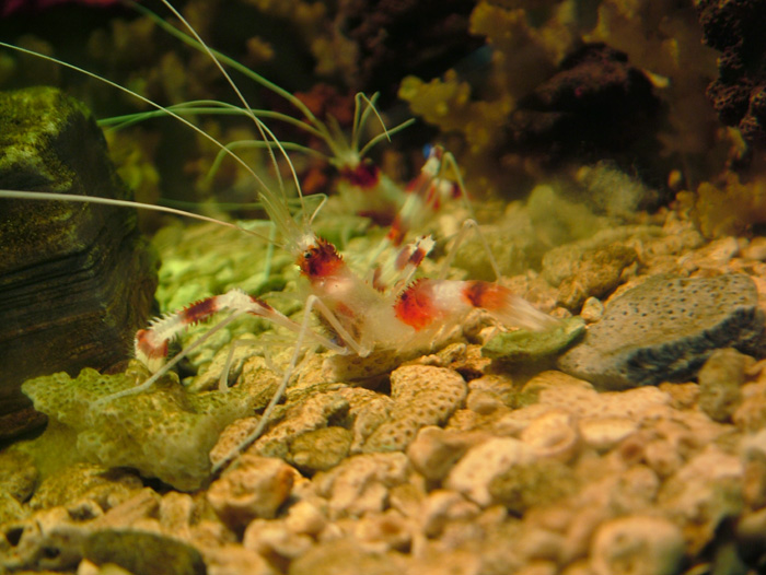 成都海底世界极地海洋馆照片,成都最出片的海洋馆