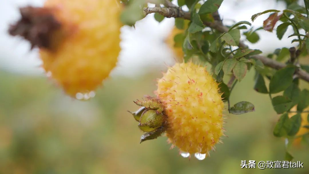 他毕业即失业，在困境中找商机，半年赚到800万