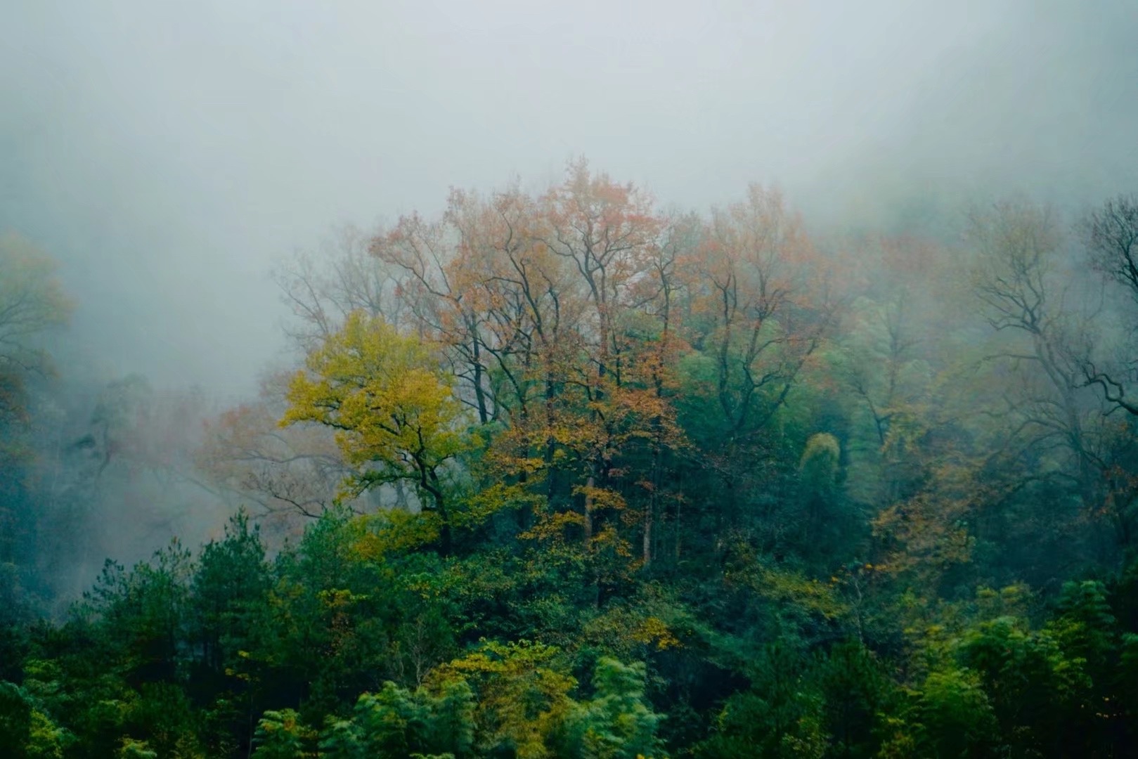温州市红色旅游景点,温州最火的旅游区景点