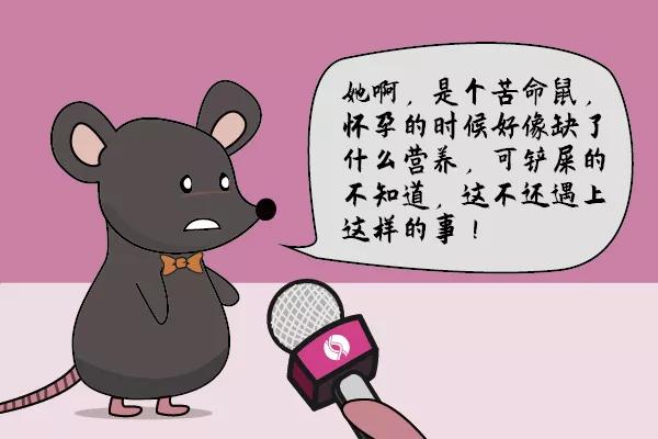 走近科学鼠王,走近科学之消失的巴士