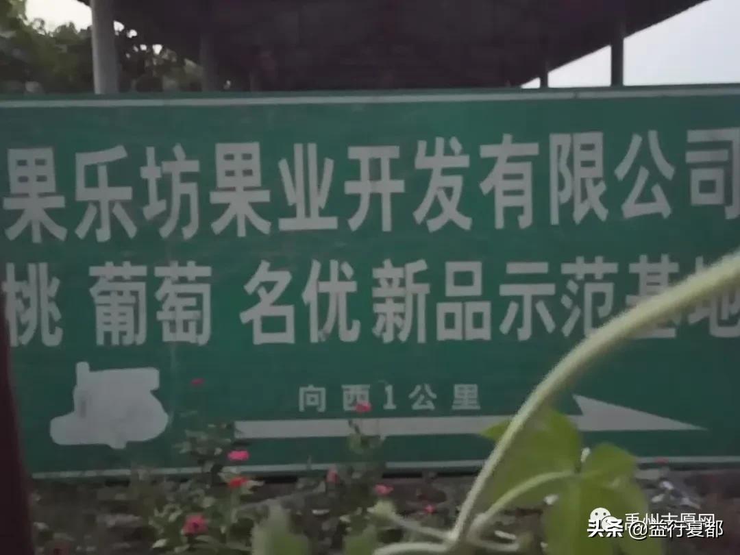 鲜桃送老人大禹公益联盟联合果乐坊看望禹州三个敬老院老人