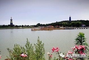 旅游业倒闭了多少家,旅游业再遭重创