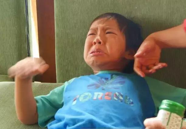 他叫辛巴,不是狮子王,8岁穿越12国:最好的教育,永远在路上