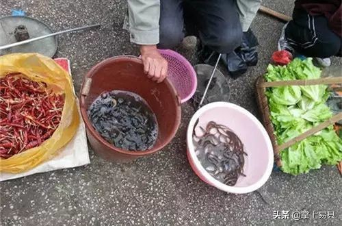 广西桂林阳朔西街小吃天下第一饼,阳朔西街有名小吃