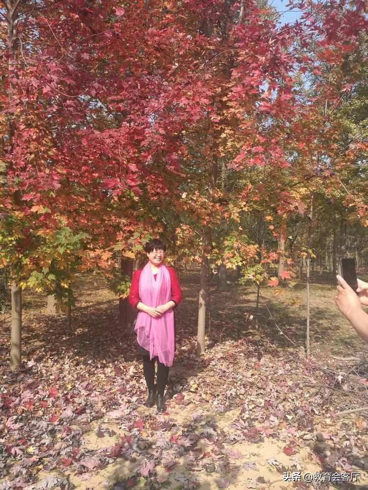 金秋旅游视频模板,国庆郯国古城游玩攻略