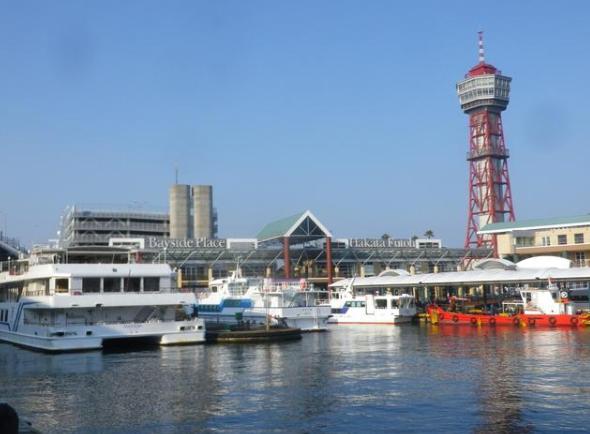 疫情时期的日本旅游业现状,疫情下中国的旅游业现状