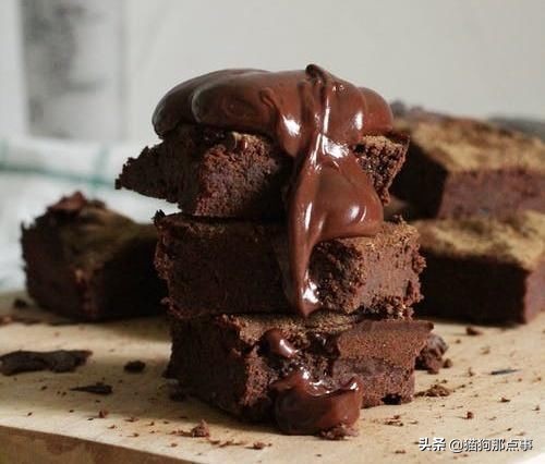 为什么说狗狗不能吃花生,狗狗偶尔吃点猫粮好不好