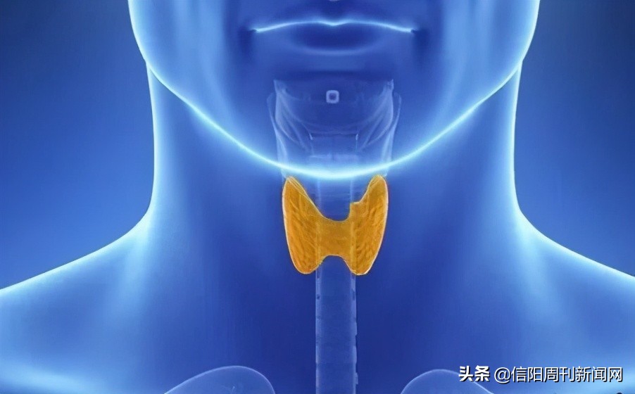 甲状腺乳腺义诊活动主题名称,通知参加甲状腺义诊活动