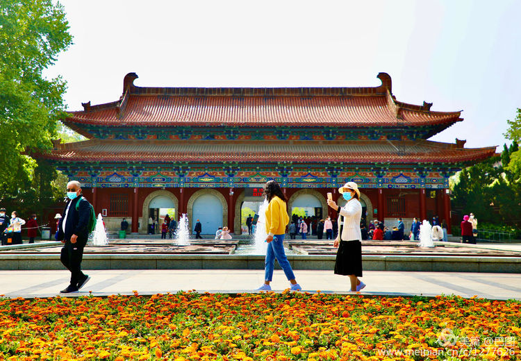 看洛阳牡丹花卉节,洛阳古都牡丹花展