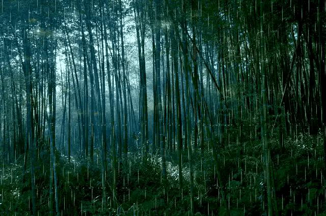 诗圣杜甫最经典的十首诗,杜甫40首诗每首是经典