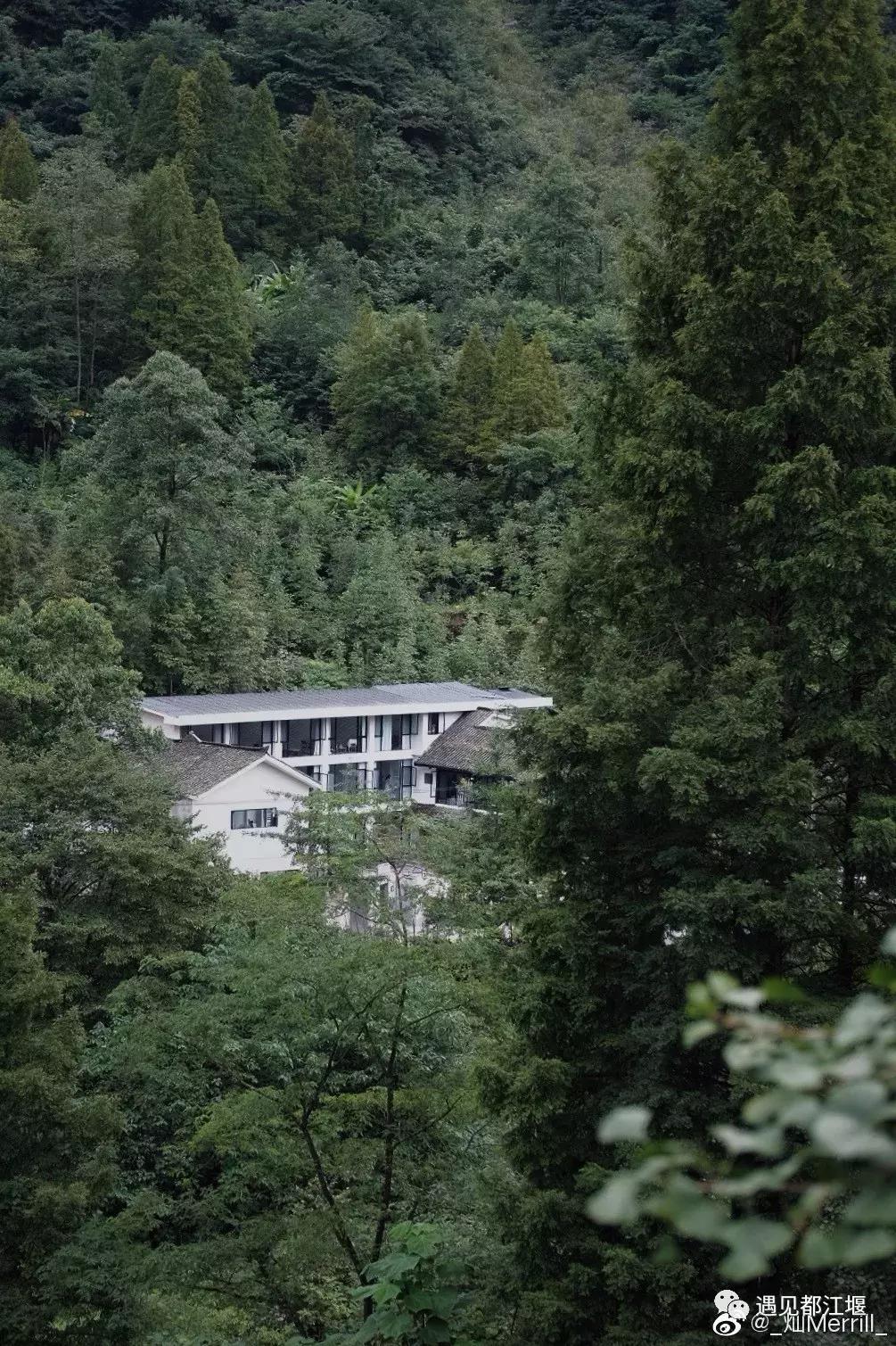 推荐一个好地方青城山,青城山纯境之旅