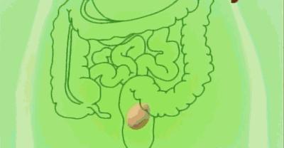 纤维可乐真的补充膳食纤维吗,无糖可乐有膳食纤维吗