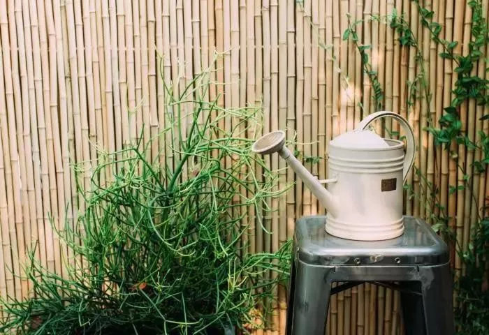 国内设计范十足的精品民宿,国内特色民宿设计公司推荐