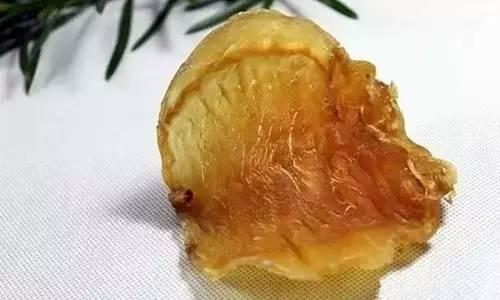 花胶最简单的泡发,花胶正确的泡发