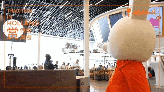 荷兰史基浦机场回国指南,史基浦机场攻略