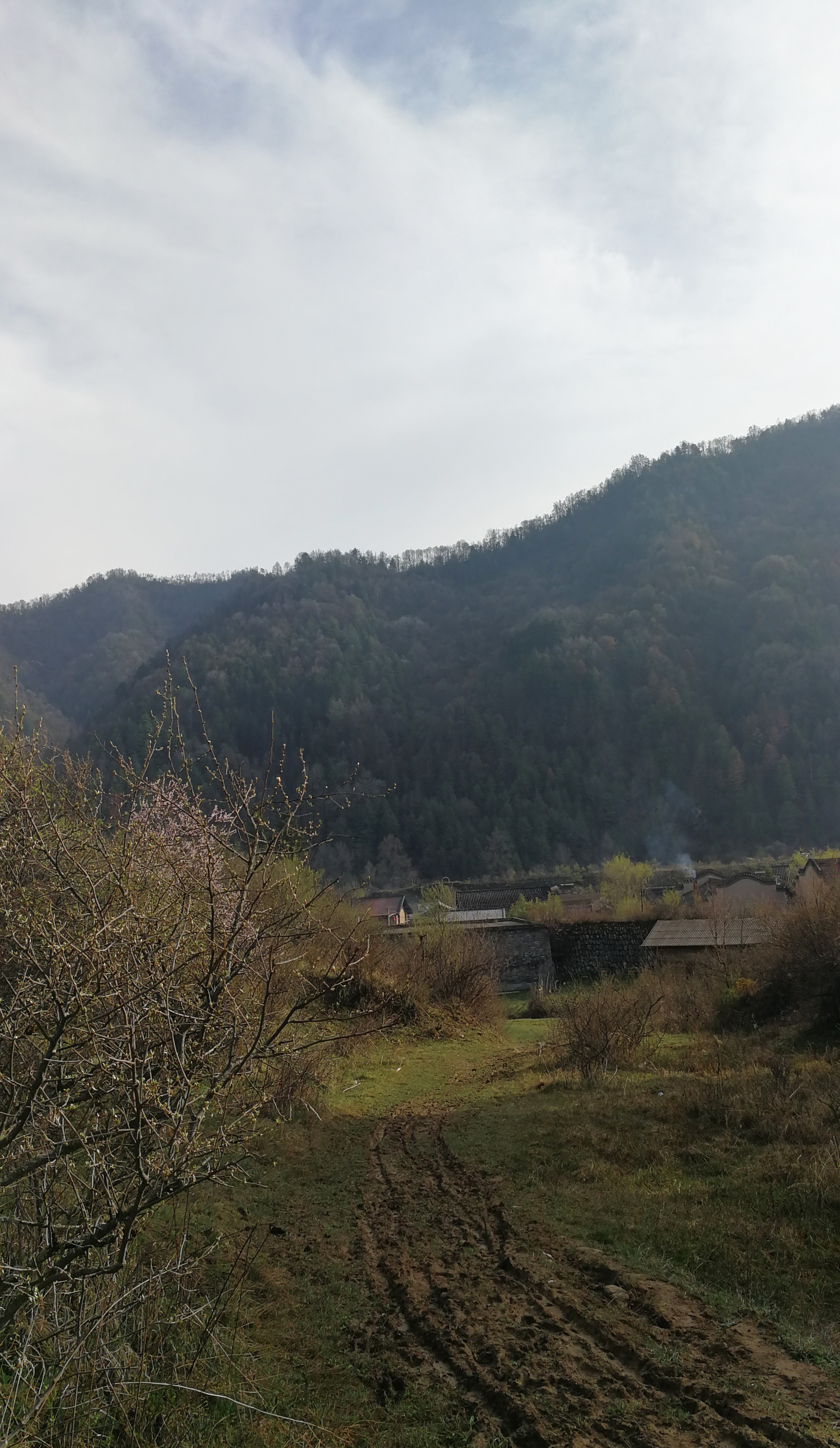 西安周至踏青赏花的路线攻略,周至老县城旅游攻略