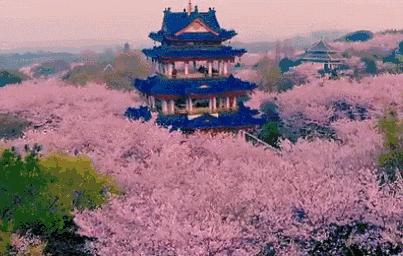 三天上海周边自驾游,魔都周边一日自驾游