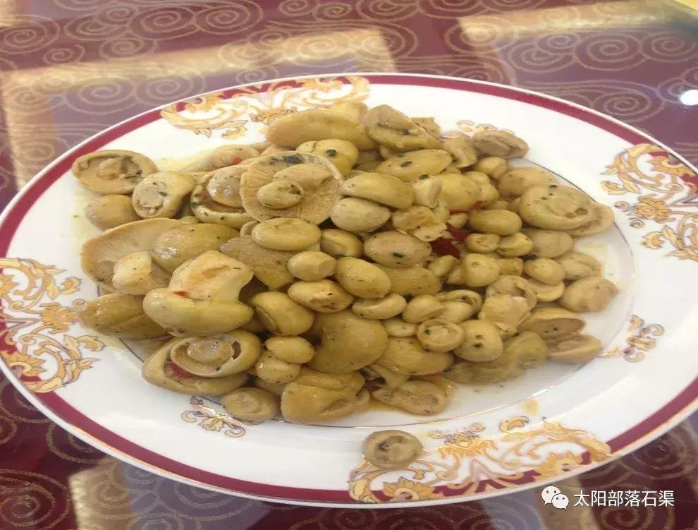 当石渠成为了一本书，你会从哪一页读起？