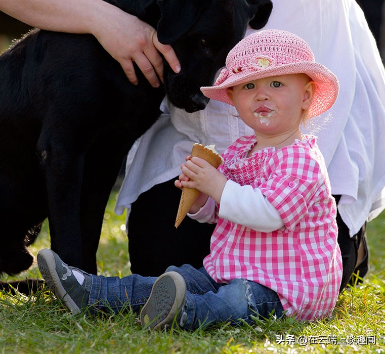 乔治王子、夏洛特公主等，哪位才是你心中那位最可爱的肉萌萌？