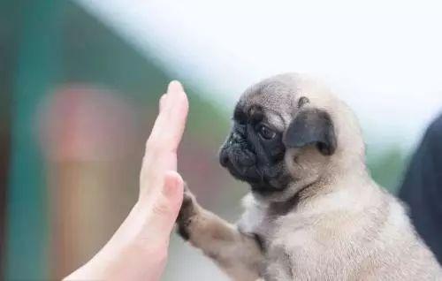 怎么让客户找你下单,让客户找我下单的话术