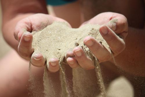 水培绿植过冬方法,水培好过冬的绿植