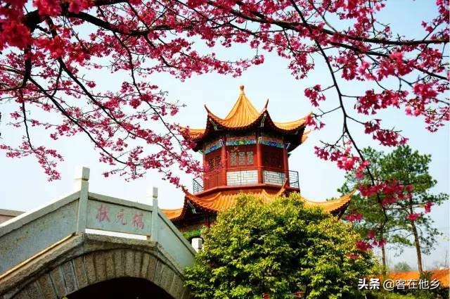 赣州五龙客家风情园客家围屋,五龙客家风情园客家宴会厅