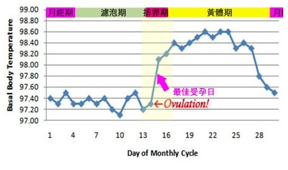 你知道自己的月经周期里有排卵吗?