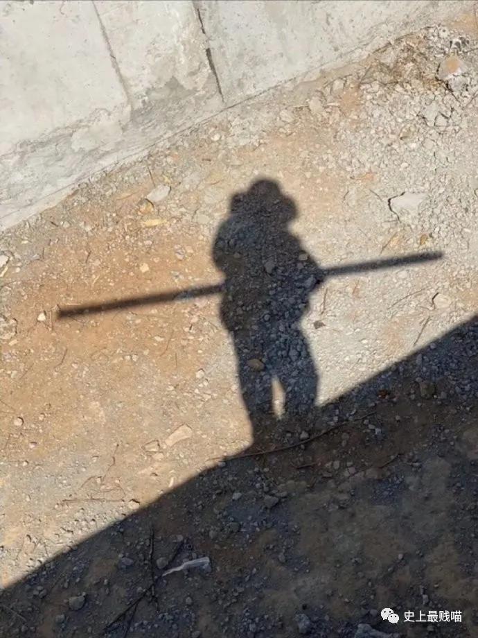 第一次看到把抖m说的这么清新脱俗的...实在太形象了哈哈哈哈哈！