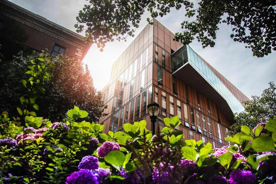 这所交际花藤校，地理位置绝佳，学霸精英扎堆，被中国学生爱疯了