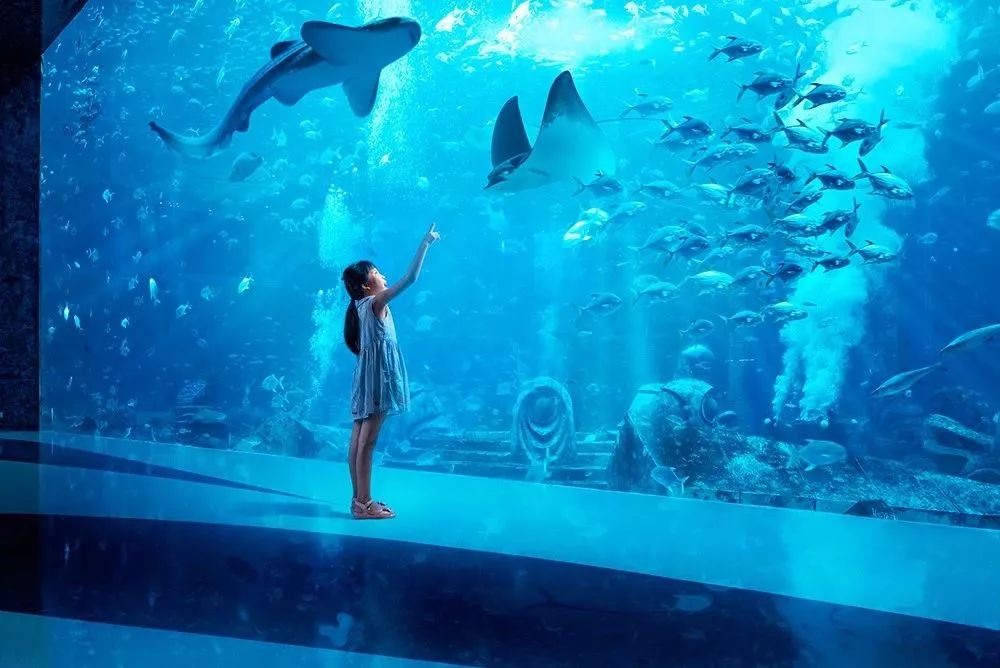 三亚亚特兰蒂斯玩什么,三亚亚特兰蒂斯游玩全攻略