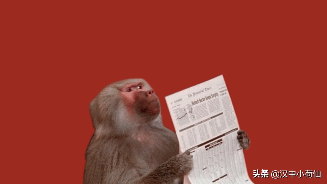 寒假期间辅导孩子学习,寒假陪娃辅导作业