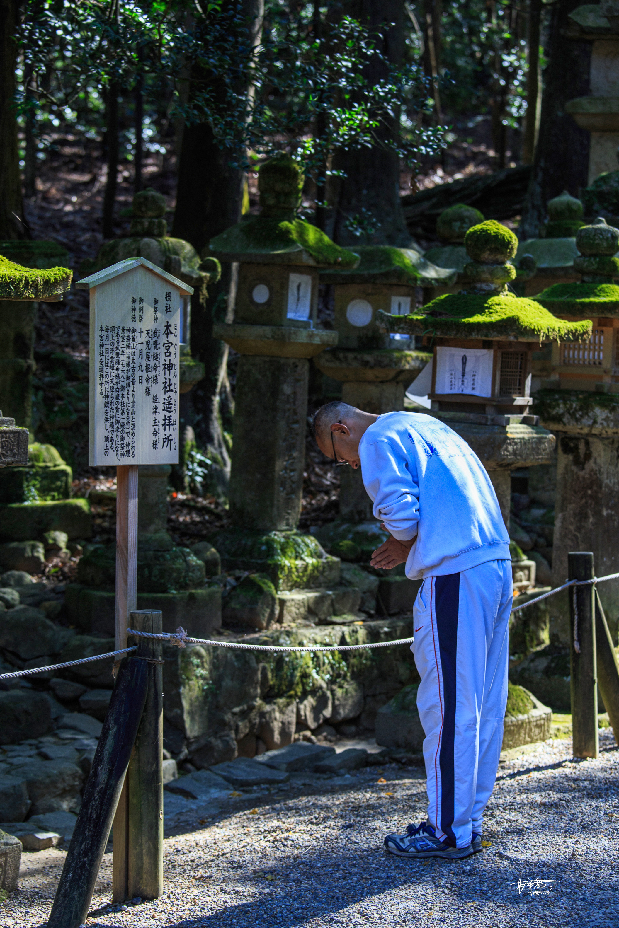 网红打卡景点奈良,日本奈良10大网红打卡景点